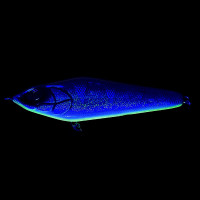 Воблер Daiwa Prorex Lazy Jerk 155SS 85g #Swedish Steel