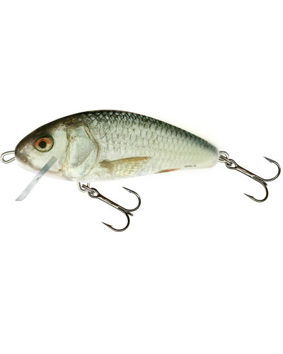 Salmo Fatso Crank F10C RD