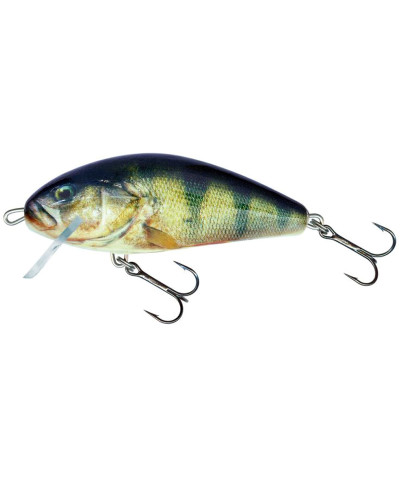 Salmo Fatso Crank F14C RPH