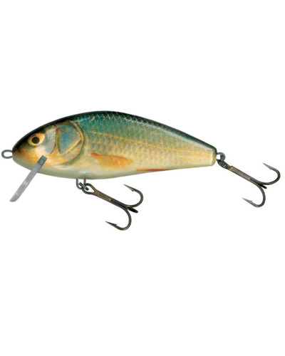 Salmo Fatso Crank F10C RR