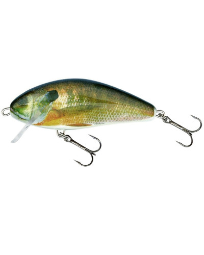 Salmo Fatso Crank F10C RS