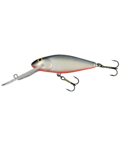Salmo Perch 14SDR GS