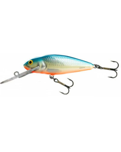 Salmo Perch 14SDR PB