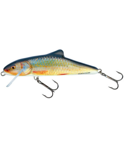 Salmo Skinner 10F RR