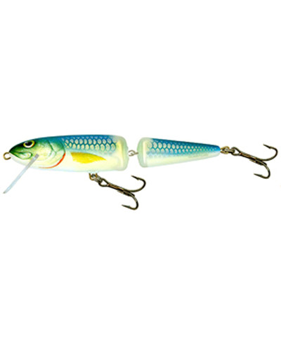 Salmo Whitefish 13JF BS