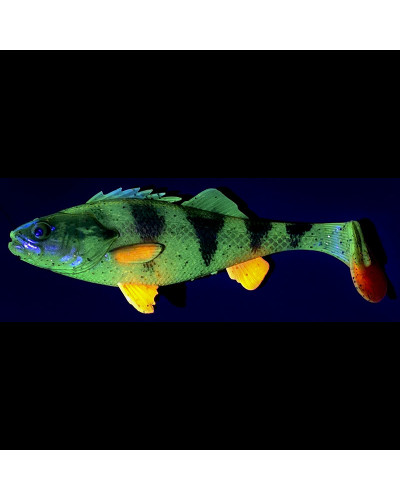 Віброхвіст Savage Gear LB 4D Perch Shad 20cm 94g #Motoroil