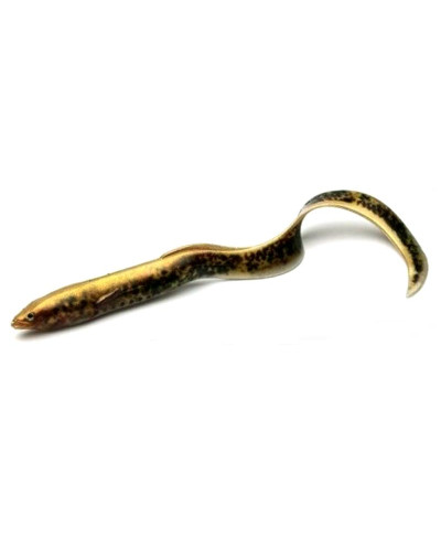 Віброхвіст Savage Gear 3D LB Real Eel 15 cm #Lamprey
