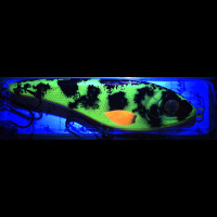 Воблер Strike Pro Buster Jerk Sinking 150mm 75g EG-048 #CWC002