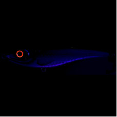 Воблер Strike Pro Big Bandit Shallow EG-078S 195mm 85,5g #C501F
